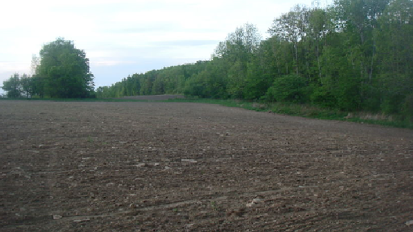 PLOWED FIELD